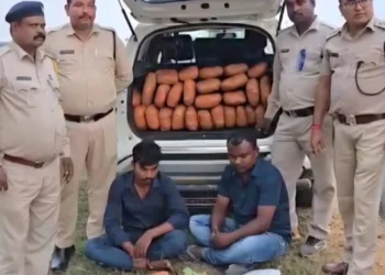 आबकारी उड़नदस्ता सरगुजा की सबसे बड़ी सफलता,रंजीत गुप्ता की टीम की ताबड़तोड़ कार्रवाई से नशे के सौदागरों में हड़कंप