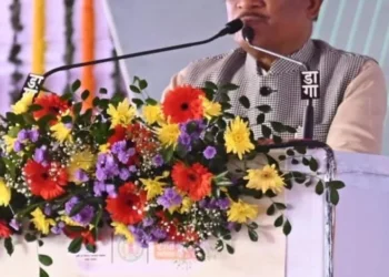 पीएमजीएसवाई-IV के अंतर्गत छत्तीसगढ़ को मिली 774 नई सड़कें