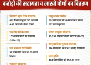 हरियाली से आर्थिक रूप से सशक्त हुए मोहला जिले के ग्रामीण