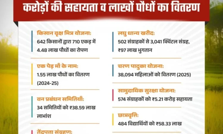 हरियाली से आर्थिक रूप से सशक्त हुए मोहला जिले के ग्रामीण