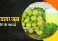 सर्दियों में आंवला और हल्दी जूस है सेहत का खजाना, पढ़े बनाने की विधि और 7 बड़े लाभ