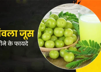 सर्दियों में आंवला और हल्दी जूस है सेहत का खजाना, पढ़े बनाने की विधि और 7 बड़े लाभ