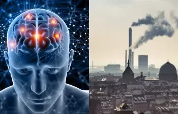 Air Pollution ब्रेन के लिए गंभीर खतरा, जानें खराब AQI से ब्रेन को क्या पड़ेगा असर?