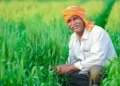 धान खरीदी में सुगमता हेतु ‘तुहर टोकन मोबाइल एप’ प्रारंभ — किसानों को मिलेगी घर बैठे टोकन सुविधा, समितियों में लंबी कतारों से मिलेगी मुक्ति