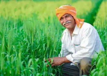 धान खरीदी में सुगमता हेतु ‘तुहर टोकन मोबाइल एप’ प्रारंभ — किसानों को मिलेगी घर बैठे टोकन सुविधा, समितियों में लंबी कतारों से मिलेगी मुक्ति