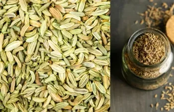सुबह खाली पेट सौंफ का पानी पीने से शरीर को मिलते हैं जबरदस्त फायदे