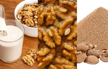 सर्दियों में इस तरीके से अखरोट खाने से शरीर को मिलते हैं ताकत और एनर्जी, मिलेंगे 8 बड़े फायदे