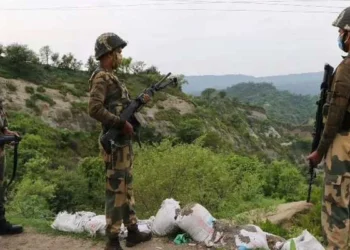 BSF में निकली बंपर भर्ती, जानिए कैसे करें आवेदन