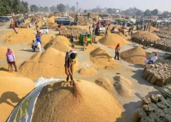 छत्तीसगढ़ में धान खरीदी की लिमिट में बढ़ोतरी, अब रोजाना इतने क्विंटल धान की होगी खरीदी
