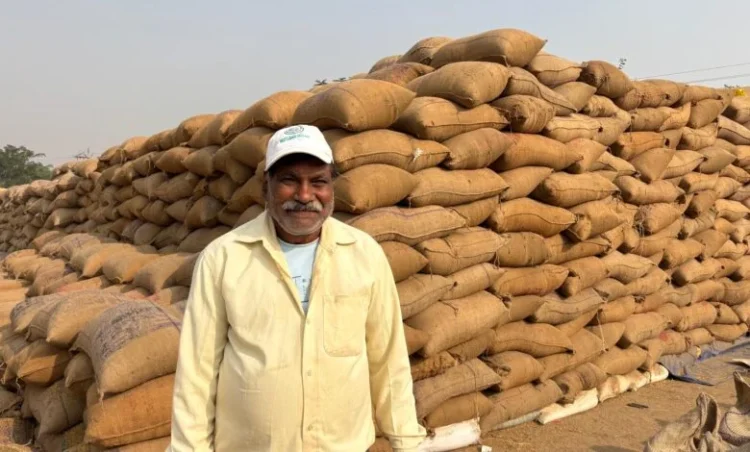 धान की बेहतर कीमत ने बढ़ाया किसान युगल का हौसला