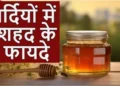 सर्दियों में रोज 1 चम्मच शहद खाने से कई गंभीर बीमारियों से रखेगा आपको दूर, बस जान लें खाने का सही तरीका?
