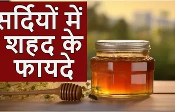 सर्दियों में रोज 1 चम्मच शहद खाने से कई गंभीर बीमारियों से रखेगा आपको दूर, बस जान लें खाने का सही तरीका?