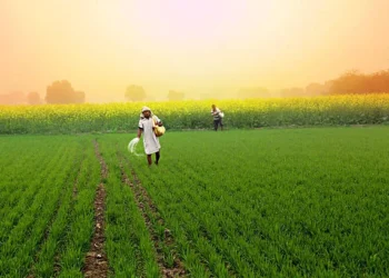 किसानों से दलहन-तिलहन उपार्जन की केन्द्र ने दी स्वीकृति