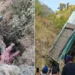 भीषण सड़क हादसा; खाई में गिरी यात्रियों से भरी बस, 7 लोगों की दर्दनाक मौत; 11 की हालत गंभीर
