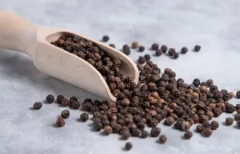 सर्दियों में काली मिर्च का पानी पीने से शरीर को मिलते हैं 3 बड़े फायदे… पेट से लेकर सर्दी-जुकाम तक मिलेगी राहत