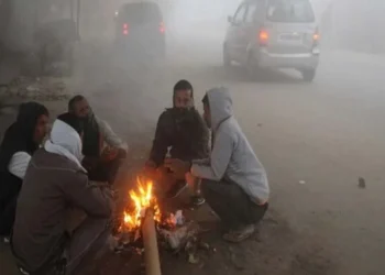 छत्तीसगढ़ में अब पड़ेगी कड़के की ठंड, 48 घंटे तक शीतलहर का अलर्ट, राजधानी में धुंध की चेतावनी
