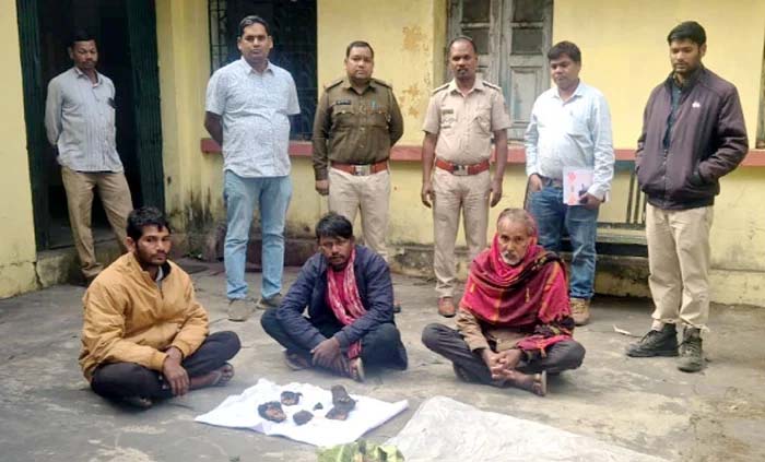 भालू के शिकार में शामिल तीन आरोपी गिरफ्तार, तमनार वन परिक्षेत्र का मामला