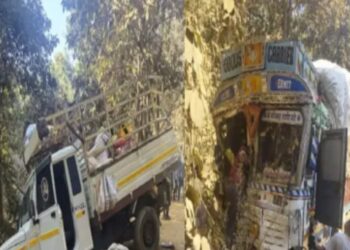 छत्तीसगढ़ में दर्दनाक सड़क हादसा, तेज रफ्तार ट्रक की टक्कर से तीन की मौत