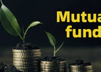 5 साल में टॉप Small Cap Funds ने किया कमाल, निवेशकों को मिला सबसे ज्यादा रिटर्न;देखें पूरी लिस्ट