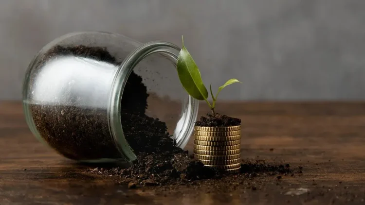 3000 रुपये की SIP से 50 लाख रुपये का फंड बनने में कितना समय लगेगा, देखें यहां पूरी कैलकुलेशन