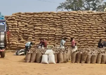 धान खरीदी में गड़बड़ी पर प्रशासन का सख्त कदम, डाटा एंट्री ऑपरेटर सस्पेंड, फड़ प्रभारी को काम से हटाया गया