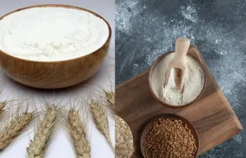 जौ का आटा या रागी का आटा, कौन सा सेहत के लिए है ज्यादा फायदेमंद?