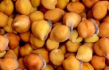 सुबह-सुबह खाली पेट भीगे चने खाने से क्या होता है?जानिए इसके जबरदस्त फायदे