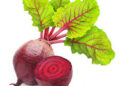 रोजाना चुकंदर खाने से शरीर के इन अंगों को मिलते हैं जबरदस्त फायदे