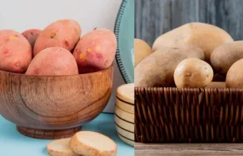 आलू लेने से पहले जानिए लाल और सफेद आलू में क्या है फर्क, फायदे जानकर ही खरीदें आलू