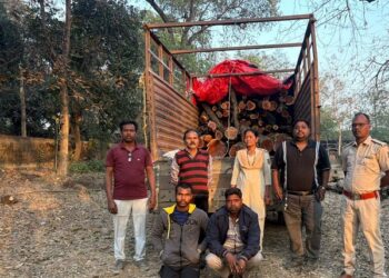 वन विभाग रायगढ़ ने अवैध तस्करी का किया भंडाफोड़, भारी मात्रा में खैर लकड़ी बरामद, चांपा में गुप्त गोदाम पर छापा, पंजाब-हरियाणा तक फैला था तस्करी का नेटवर्क