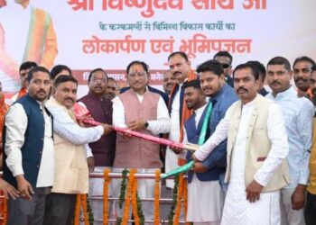 मुख्यमंत्री विष्णुदेव साय ने लोकतंत्र सेनानी से की मुलाकात