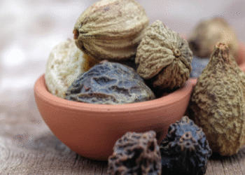 आयुर्वेद में वात दोष का असरदार उपाय त्रिफला, जानिए कैसे करें सेवन