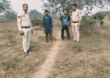 “ऑपरेशन शंखनाद” के तहत तमनार पुलिस की बड़ी कार्रवाई, 8 गौवंश तस्करों के कब्जे से मुक्त, गौवंशों को क्रूरतापूर्वक हांकते ले जा रहे दो तस्कर तमनार पुलिस की घेराबंदी में गिरफ्तार