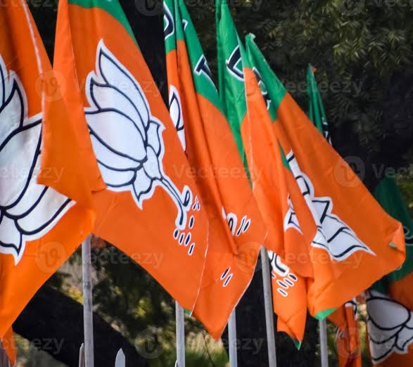 राज्यसभा चुनाव 2026: भाजपा ने भेजा 7 नामों का पैनल, हाईकमान जल्द करेगा उम्मीदवारों का ऐलान