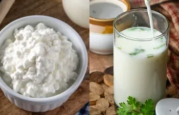 एसिडिटी, गैस और अपच से हैं परेशान? जानें दही और छाछ में किसे चुनना रहेगा आपके लिए ज्यादा फायदेमंद
