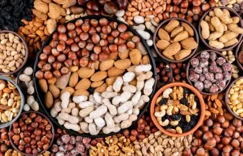 सावधान! कहीं आप भी तो नहीं खा रहे बिना भिगोए ड्राई फ्रूट्स? सेहत पर पड़ सकता है भारी असर, पाचन से जुड़ी बढ़ सकती हैं समस्याएं