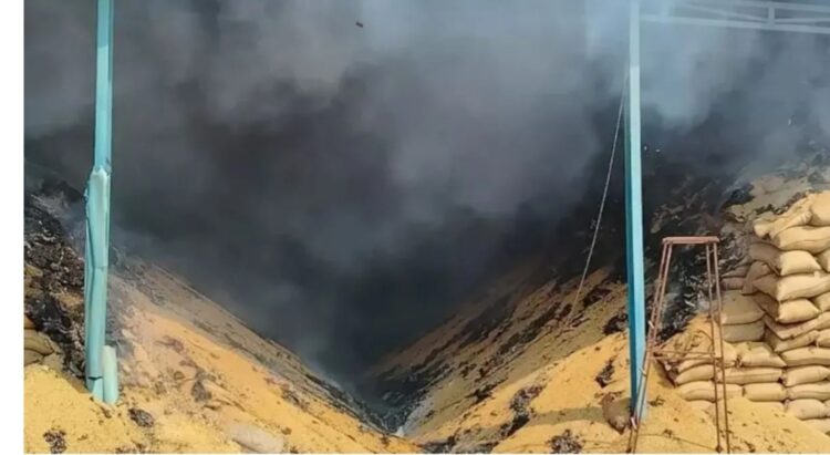 राइस मिल में लगी भीषण आग, हजारों क्विंटल धान जलकर राख, दूर-दूर तक दिखा धुएं का गुबार