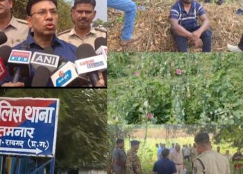 “ऑपरेशन आघात” के तहत तमनार में अफीम की अवैध खेती पर बड़ी कार्रवाई, नदी किनारे खेत में करीब एक एकड़ में अफीम की खेती का खुलासा