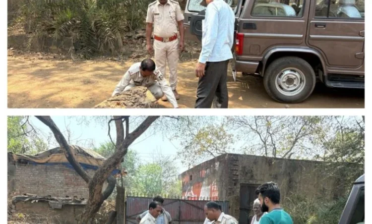 वन विभाग की बड़ी कार्रवाई, कुसमुरा के उमाशंकर सॉ मिल को किया गया सील