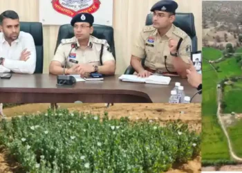 72 घंटे में रायगढ़ जिला प्रशासन की ताबड़तोड़ कार्रवाई, अवैध अफीम खेती के नेटवर्क में मचा हड़कंप