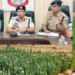 72 घंटे में रायगढ़ जिला प्रशासन की ताबड़तोड़ कार्रवाई, अवैध अफीम खेती के नेटवर्क में मचा हड़कंप