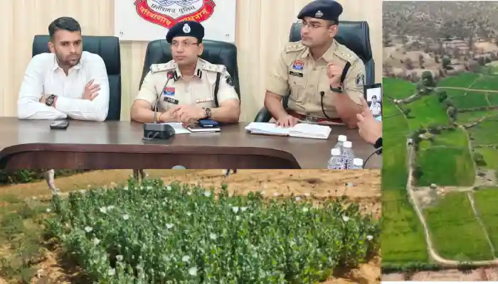 72 घंटे में रायगढ़ जिला प्रशासन की ताबड़तोड़ कार्रवाई, अवैध अफीम खेती के नेटवर्क में मचा हड़कंप