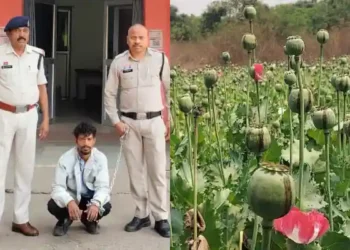आमाघाट अवैध अफीम खेती मामले में रायगढ़ पुलिस की बड़ी कार्रवाई — एक और फरार आरोपी सिप्रियन भेंगरा गिरफ्तार