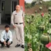आमाघाट अवैध अफीम खेती मामले में रायगढ़ पुलिस की बड़ी कार्रवाई — एक और फरार आरोपी सिप्रियन भेंगरा गिरफ्तार