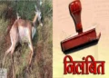 छत्तीसगढ़ के इस जिले में 15 हिरणों की मौत के बाद अधिकारियों पर कार्रवाई, प्रभारी समेत 4 कर्मचारी निलंबित