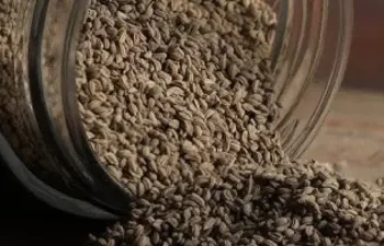 छोटे-छोटे दानों में छिपे बड़े फायदे: कब्ज, पेट दर्द और गैस की समस्या से राहत पाने के लिए रोज करें इसका सेवन