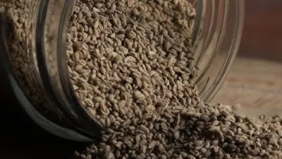 छोटे-छोटे दानों में छिपे बड़े फायदे: कब्ज, पेट दर्द और गैस की समस्या से राहत पाने के लिए रोज करें इसका सेवन