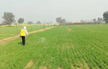 पश्चिम एशिया तनाव के बीच सरकार का बड़ा बयान, देश में खाद का पर्याप्त भंडार; कमी की कोई आशंका नहीं