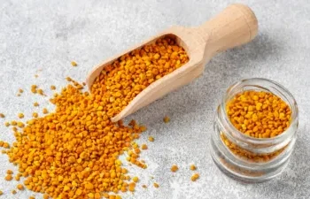 डाइट में शामिल करें मेथी दाना, सेहत को मिल सकते हैं कई जबरदस्त फायदे