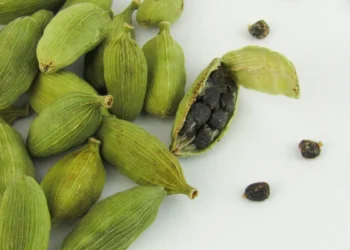 रात में सोने से पहले खाएं एक हरी इलायची, पाचन से लेकर सांस तक कई परेशानियों में मिल सकता है फायदा